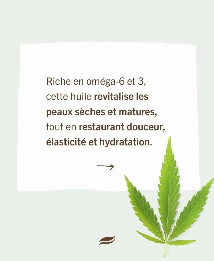 WhatsApp Image 2024-11-15 à 19.07.31_f9b5deb7.webp