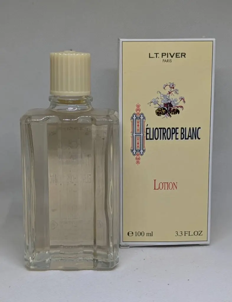 heliotrope blanc2.webp