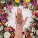 sahumito-sagrada-madre-frankincense-cleansing-and-purifi_002.webp