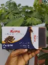 savon carapte2 new.webp