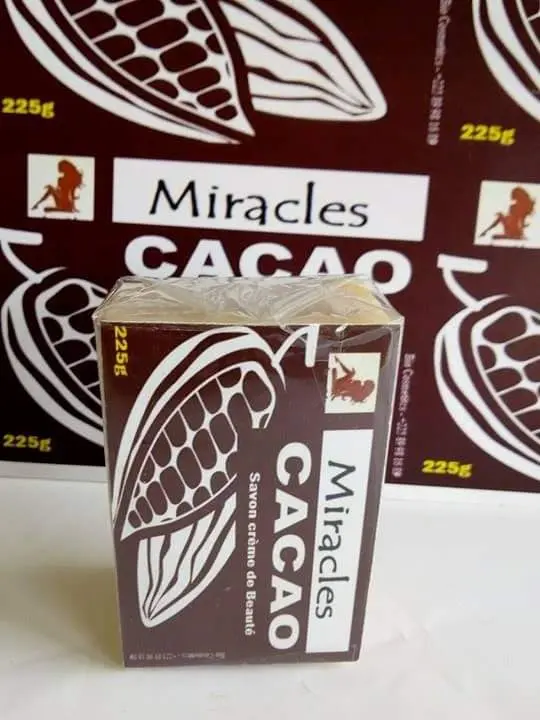 cacao 1.webp