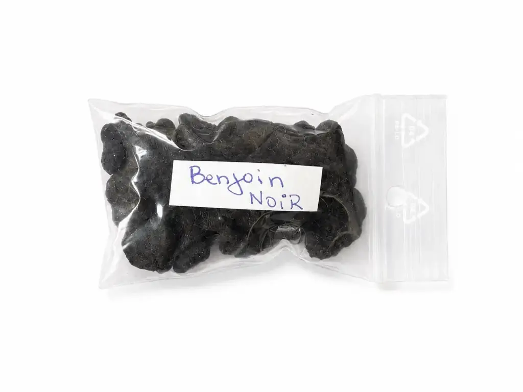 Benjoin noir | Encens brut - Résine