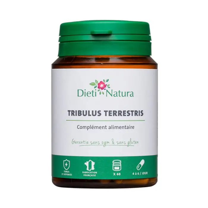 Tribulus terrestris