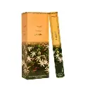 Encens Aromatika Jasmin Hexa