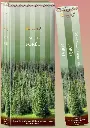   Encens Aromatika forêt Hexa