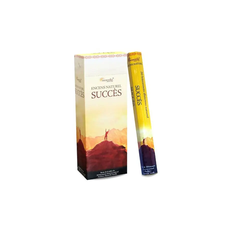Encens Succès Aromatika Hexa  (Tube de 20 Batonnets)