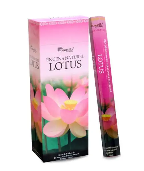 Encens Aromatika Lotus Hexa (Tube de 20 Batonnets)