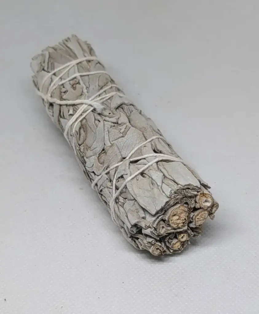 SAUGE BLANCHE- Bâton