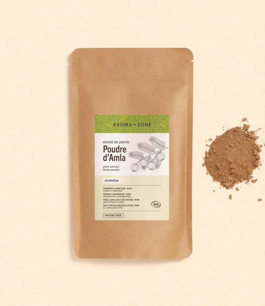 Poudre d'Amla BIO 