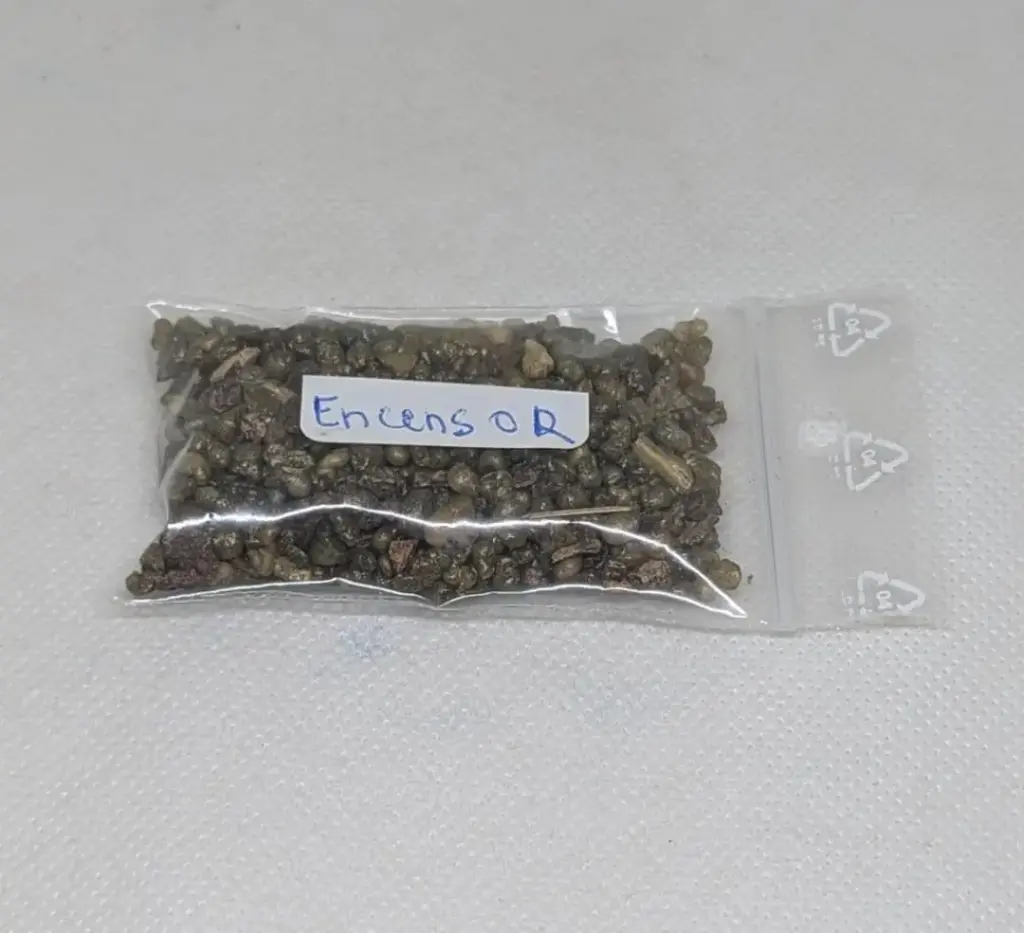 Encens Or ( Gold)