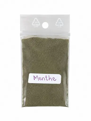 MENTHE - Poudre magique - Sachet