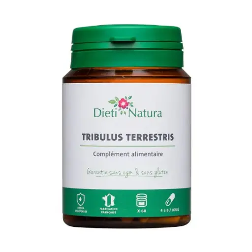Tribulus terrestris