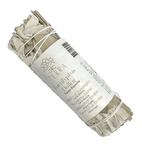  Sauge Blanche & Eucalyptus Dollar Fagot 25-30g 10cm