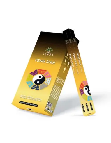  Encens Terra Feng Shui hexa sans charbon